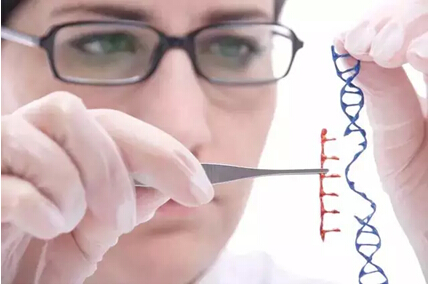   警惕家族遗传基因导致患癌的危险|医院学术交流